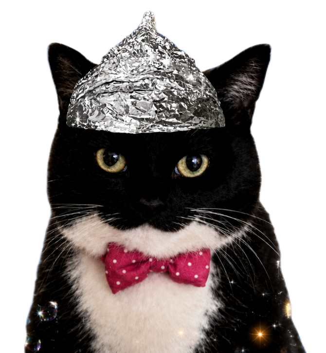 Conspiracy Cat in a foil hat
